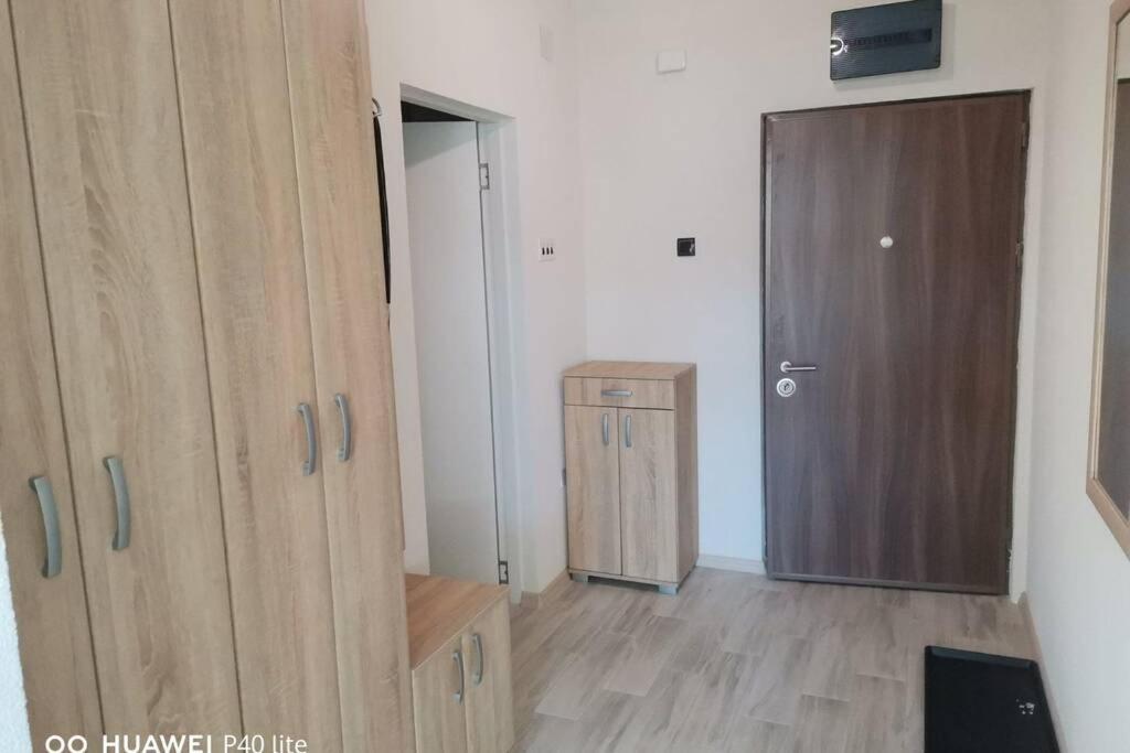 Apartment Rajic โกลูบาค ภายนอก รูปภาพ