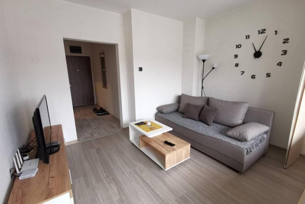 Apartment Rajic โกลูบาค ภายนอก รูปภาพ