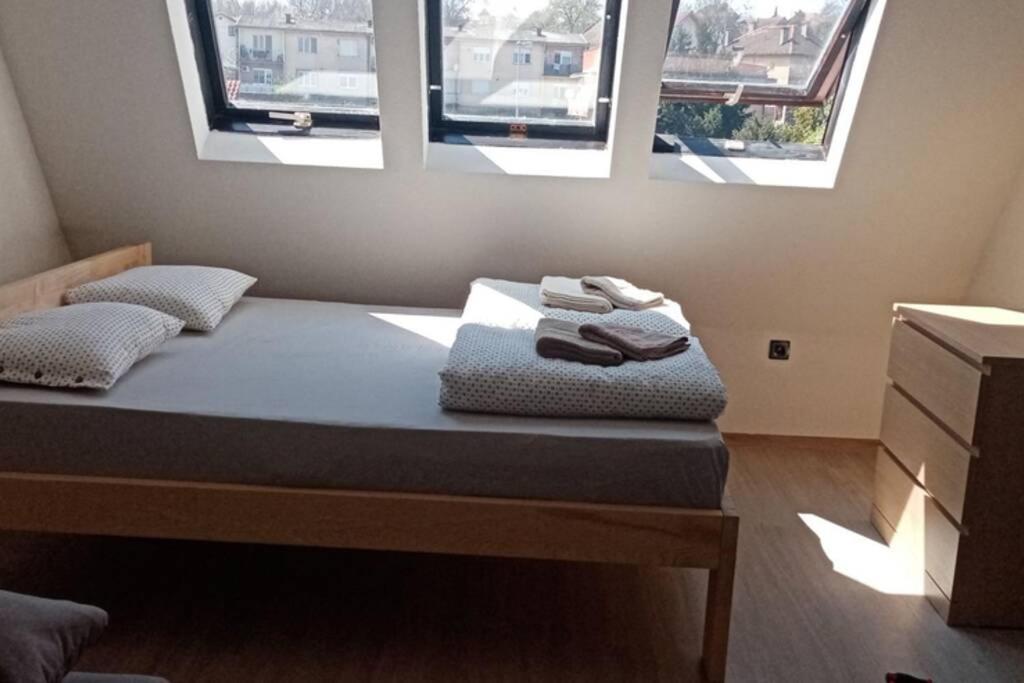 Apartment Rajic โกลูบาค ภายนอก รูปภาพ