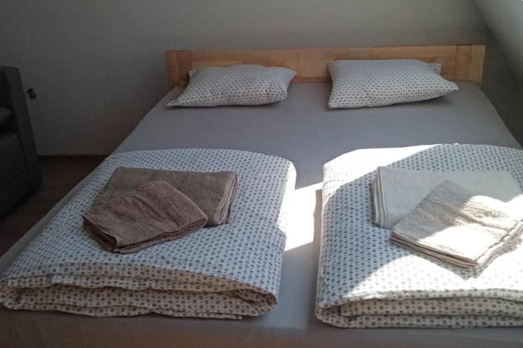 Apartment Rajic โกลูบาค ภายนอก รูปภาพ
